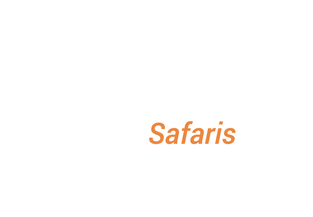 Go Extramile Safaris